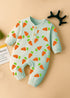 Little Carrots Interlock Henley Sleepsuit