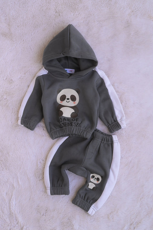 Panda Printed Fleece Hooded Set