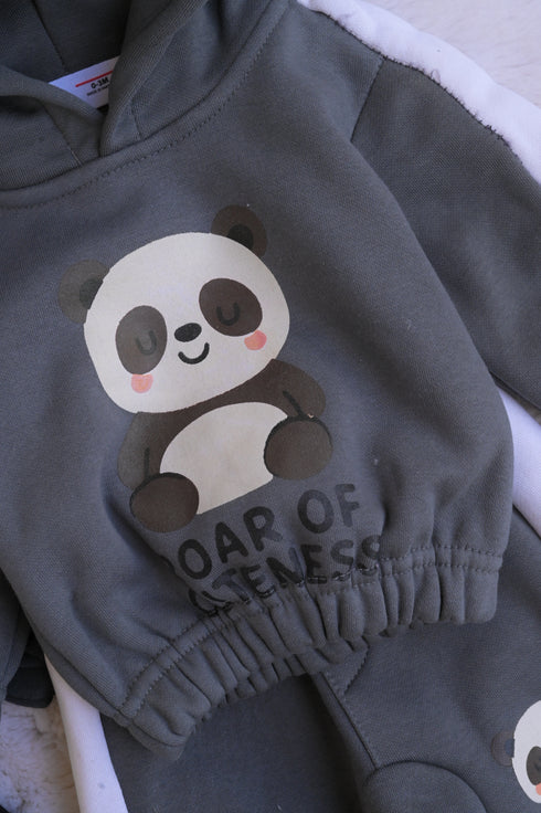 Panda Printed Fleece Hooded Set