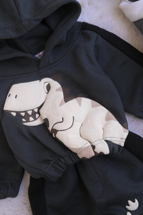 Little Dino Printed Fleece Hooded Set