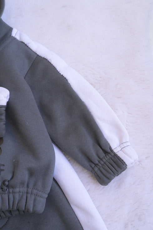 Panda Printed Fleece Hooded Set