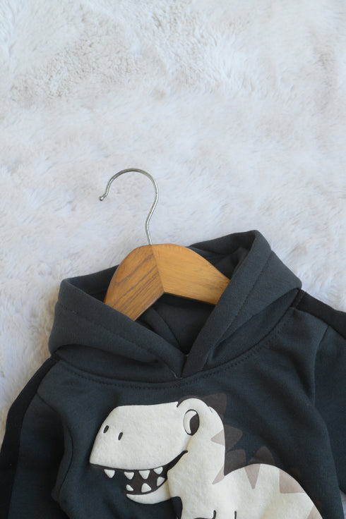 Little Dino Printed Fleece Hooded Set