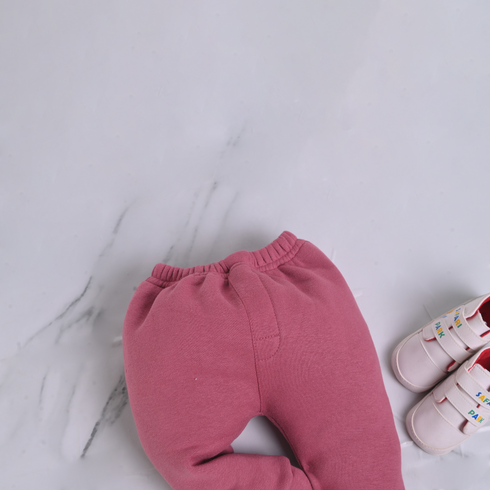 Purple Fleece Quarter Zipper Set