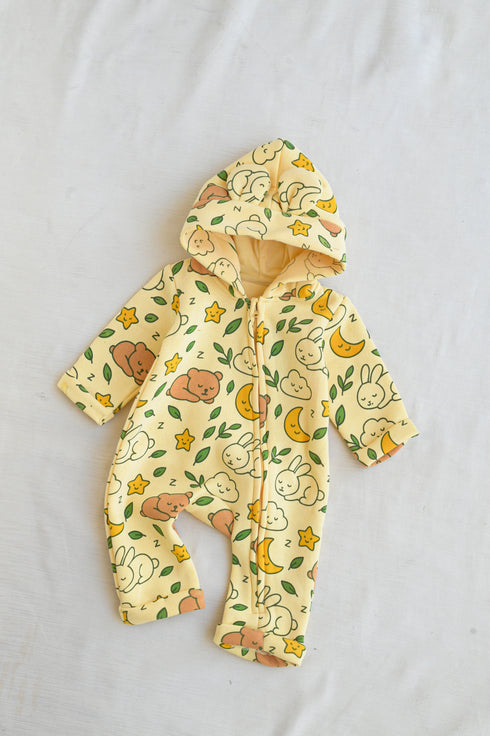 Sleepy Friends Fleece Hooded Sleepsuit